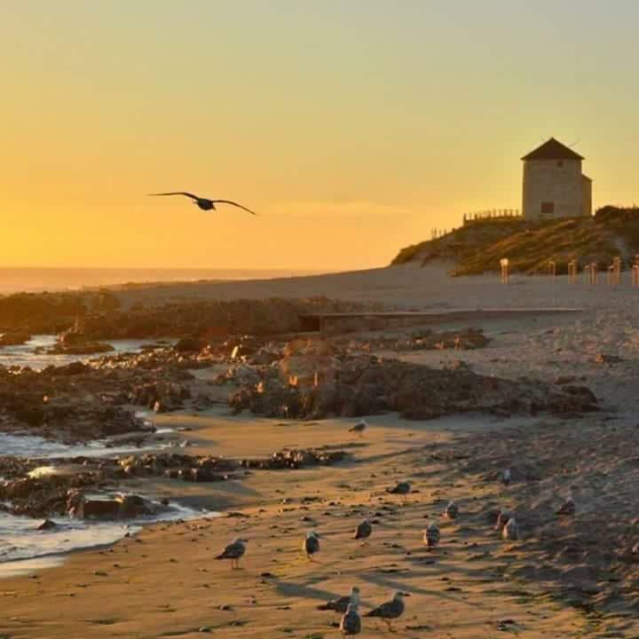 Casa De Praia - Studio Esposende Eksteriør billede